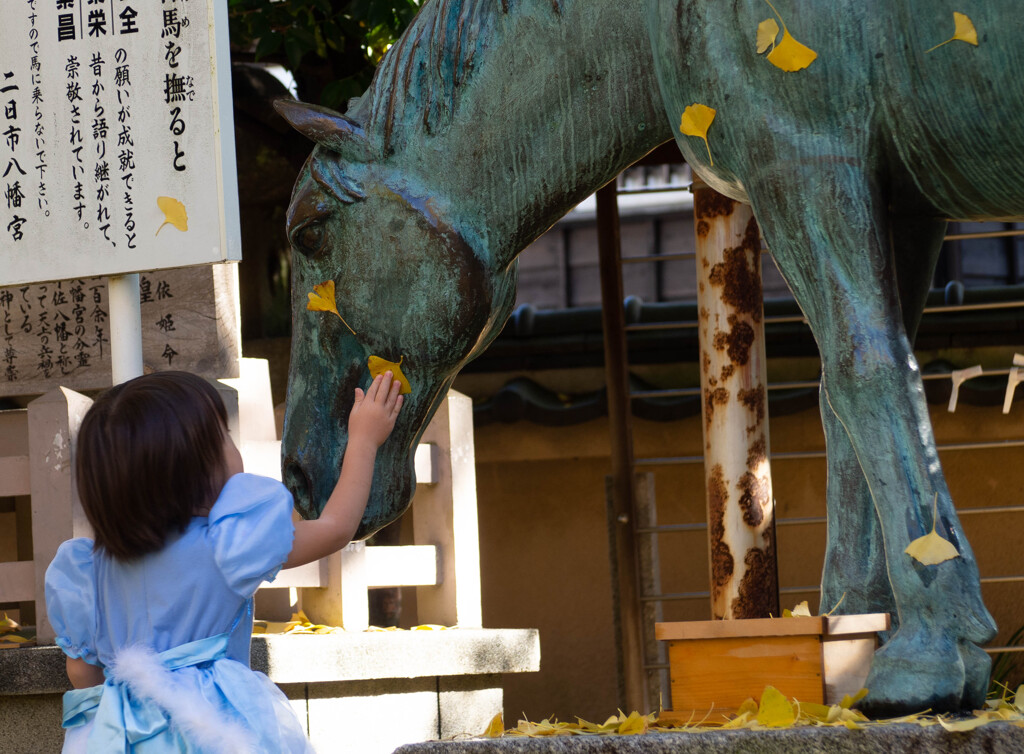 願いが成就しますように