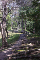 舞鶴公園の小道