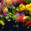 DSCF5400