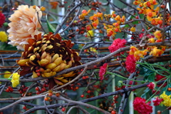 DSCF5391
