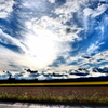 DSCF2395