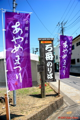 X717395