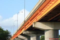 X717868