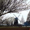 Scenery with windmill①