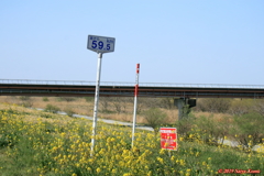 0D16520