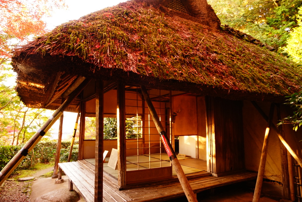 金福寺 芭蕉庵①