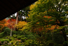 京都 三千院