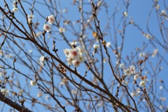 2月の終わり