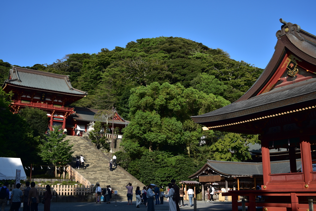 鶴岡八幡宮　杜　青空