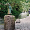 源兵衛川　井戸　水遊び