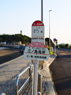春の江ノ島　バス停