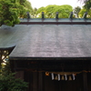 小田原 神社 新緑