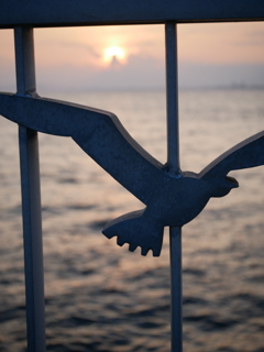 弁天橋 夕日 #1