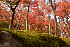 2023 箱根美術館