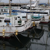 片瀬漁港　いまだ冬模様　釣り船