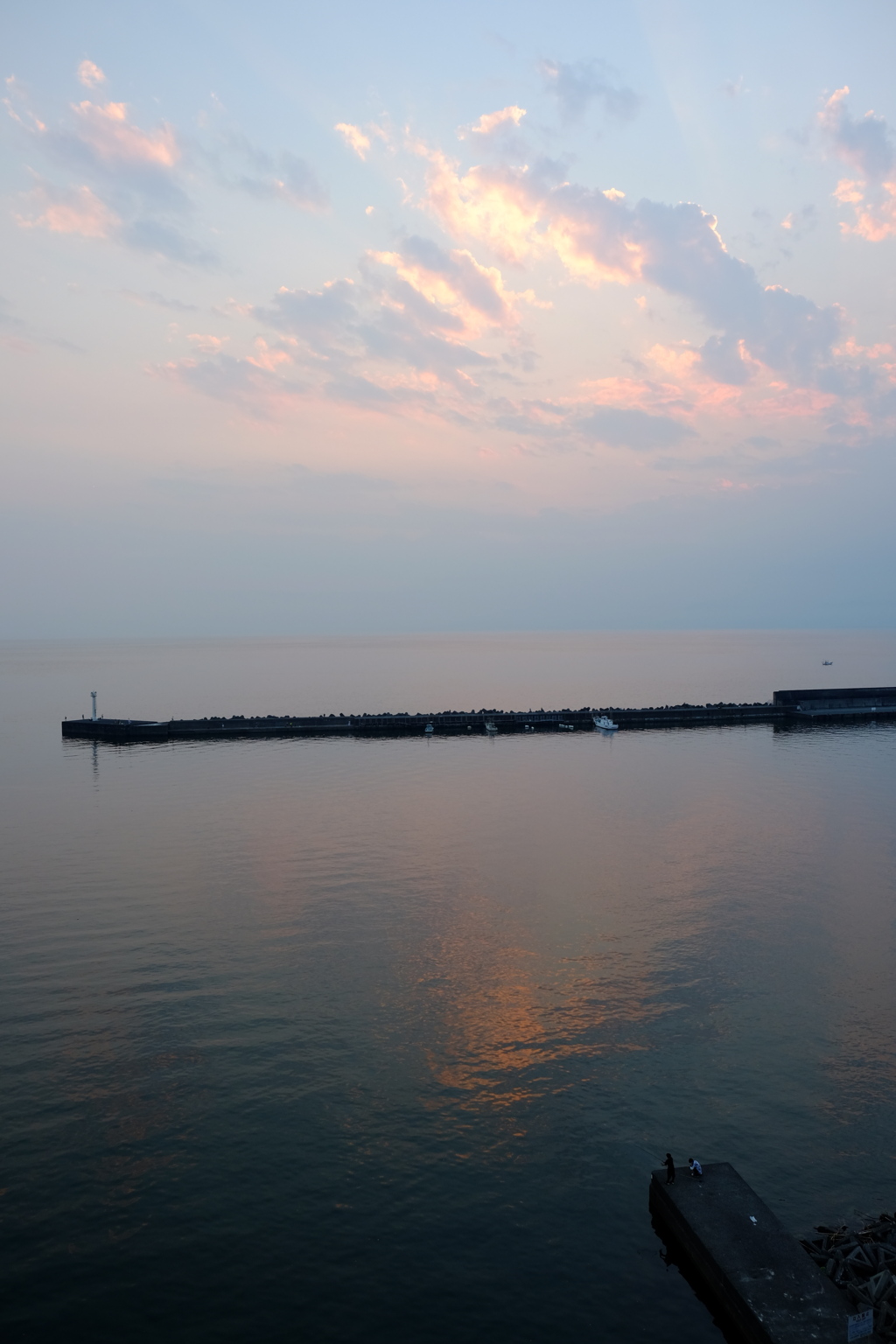 夏　沼津港　夕日