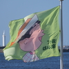 はためく　わかめ