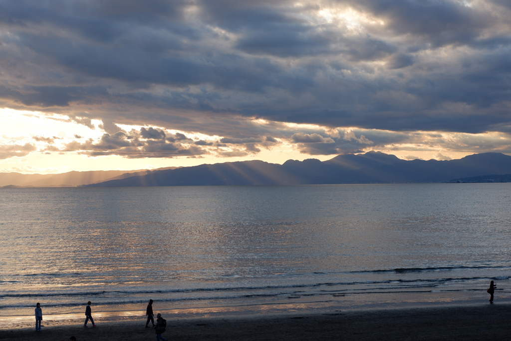 2月　夕日定食　Tessar風味