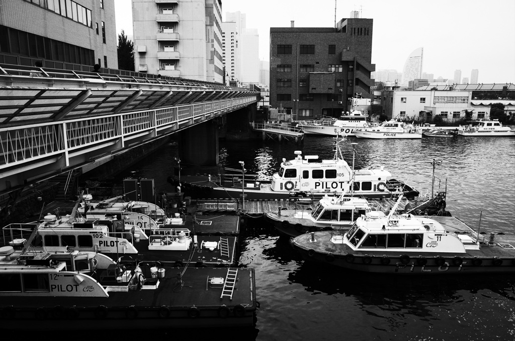 横浜　水先船