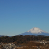 大磯　朝活　富士山