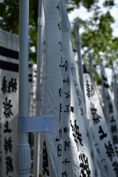 鎌倉散歩#3 2025 9月