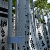 鎌倉散歩#3 2025 9月