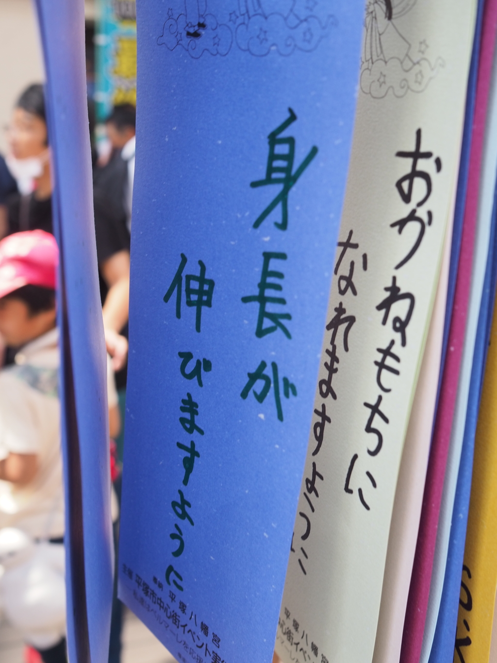 2024 平塚 七夕 願い