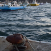 夕活　江ノ島　片瀬漁港