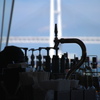 大桟橋 blue terminal#2
