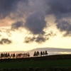 BD0E5516-F267-4C8F-9D80-86110B420027