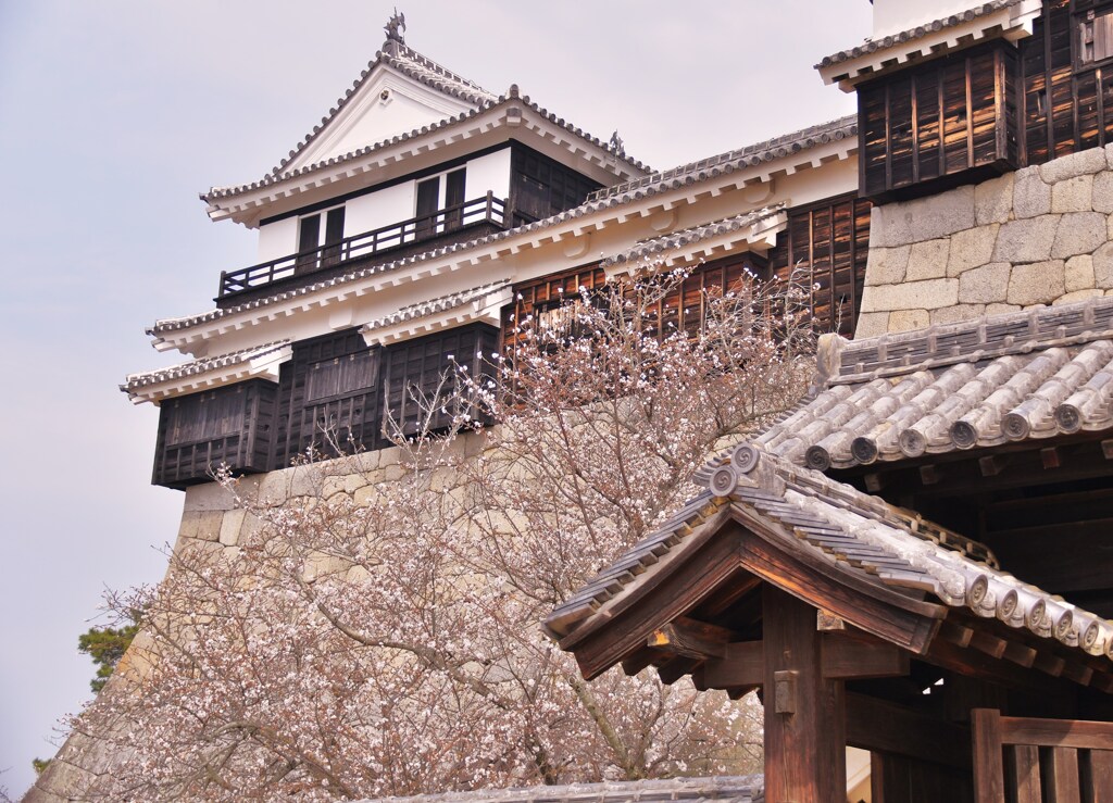 松山城