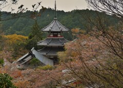 桜塔