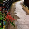 道