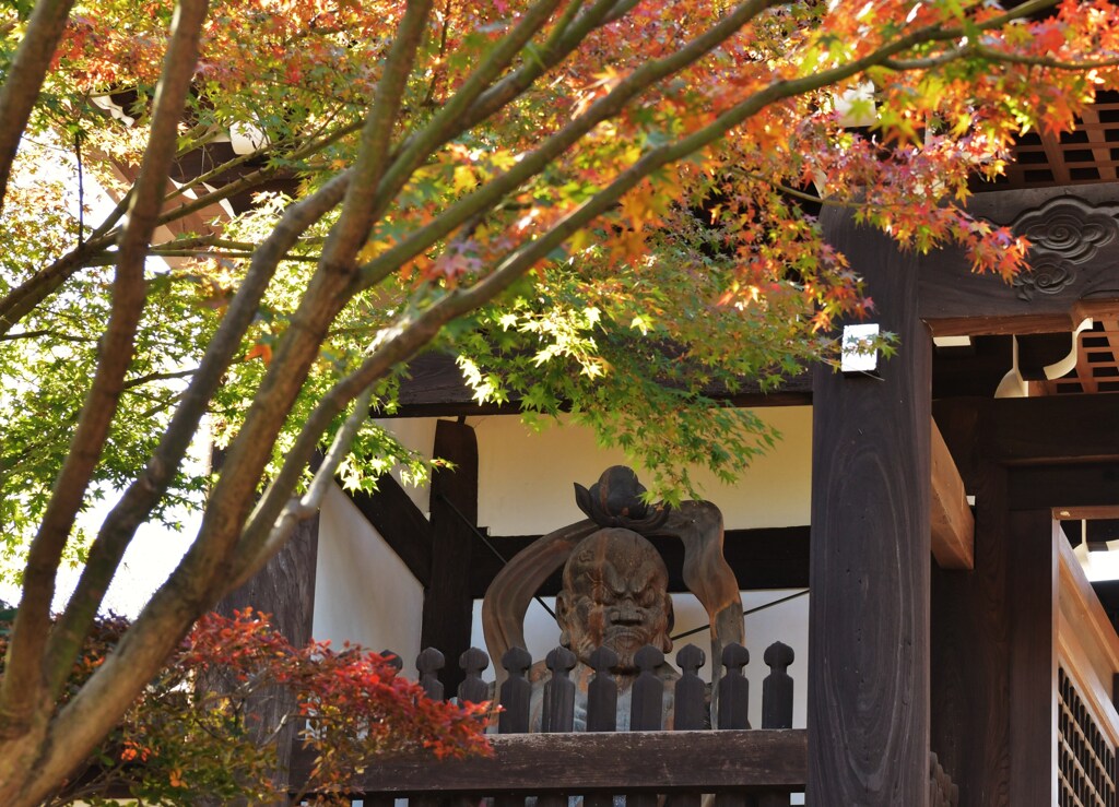 天部様と紅葉