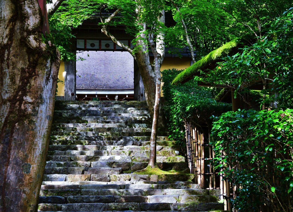 結界の先