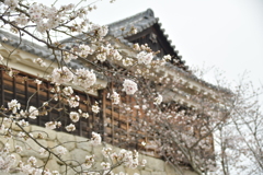 松山城