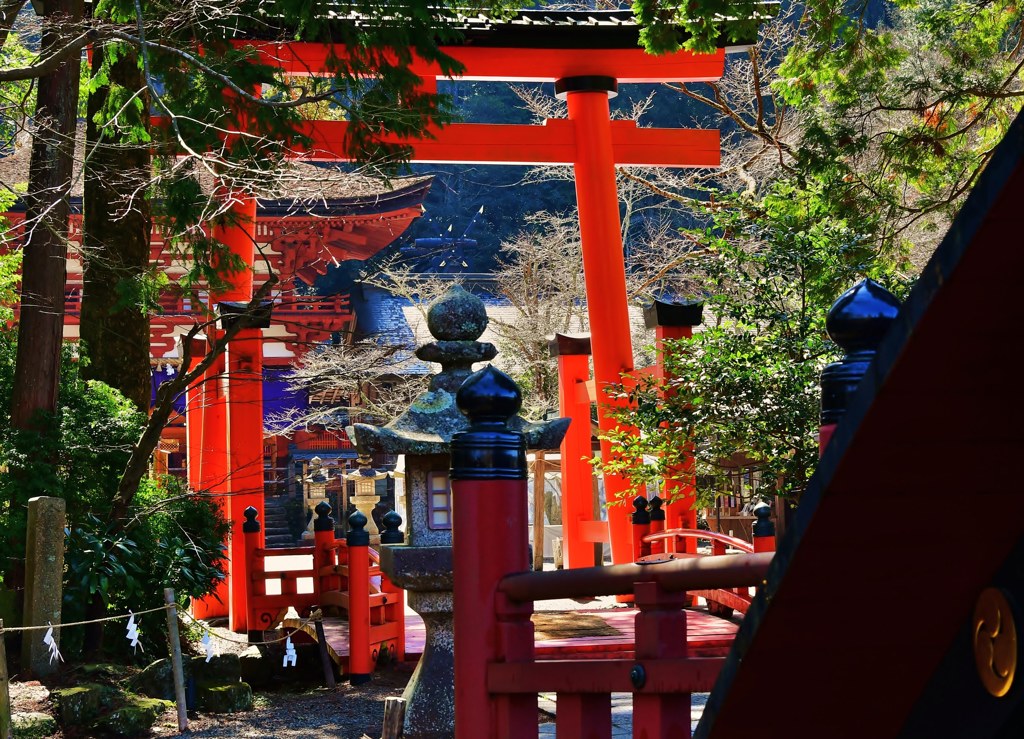 聖域