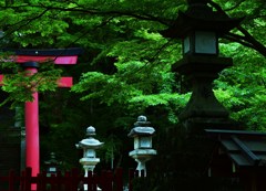 緑浮