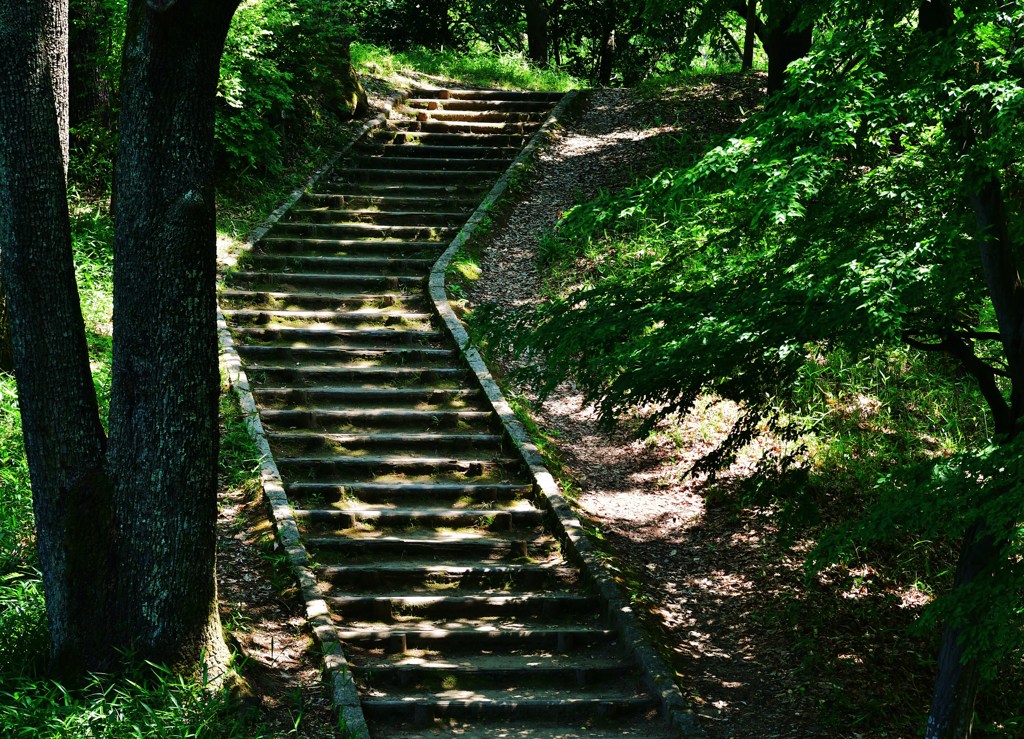段映