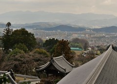 遠望