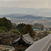 遠望