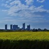 収穫の街
