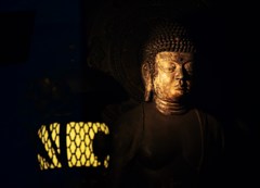 優顔