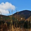 山際