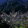 里山