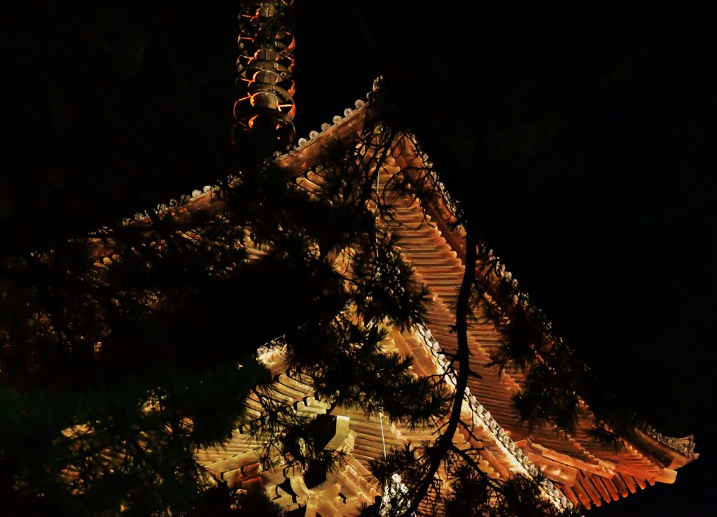 夜塔