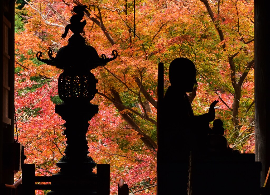 紅影