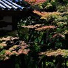 季節