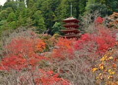 朱と紅