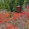 朱と紅